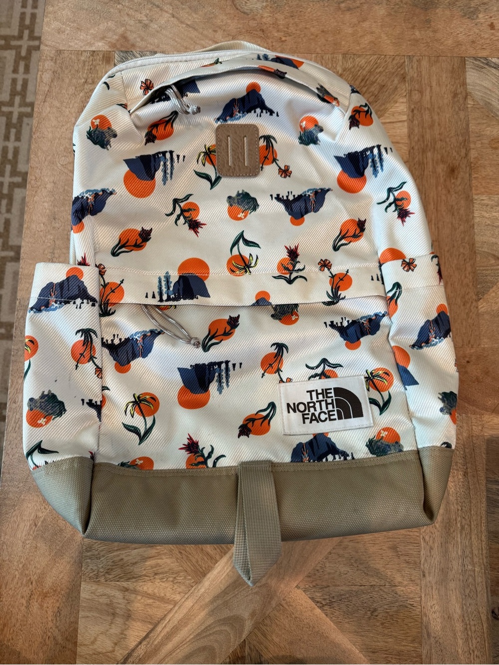 The Northface Daypack Backpack 22L